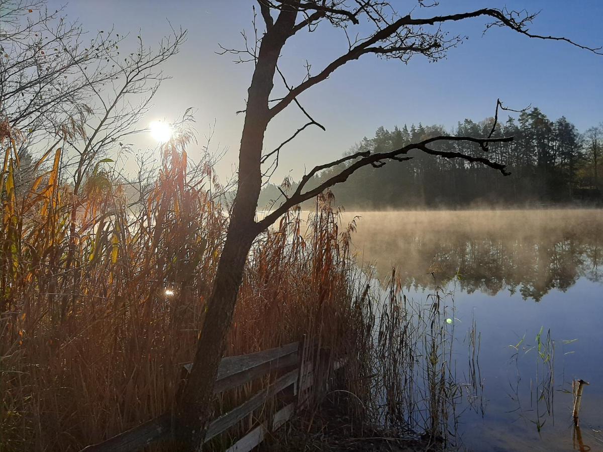 Olszynowy Zakatek -Mala Magia Daire Augustów Dış mekan fotoğraf